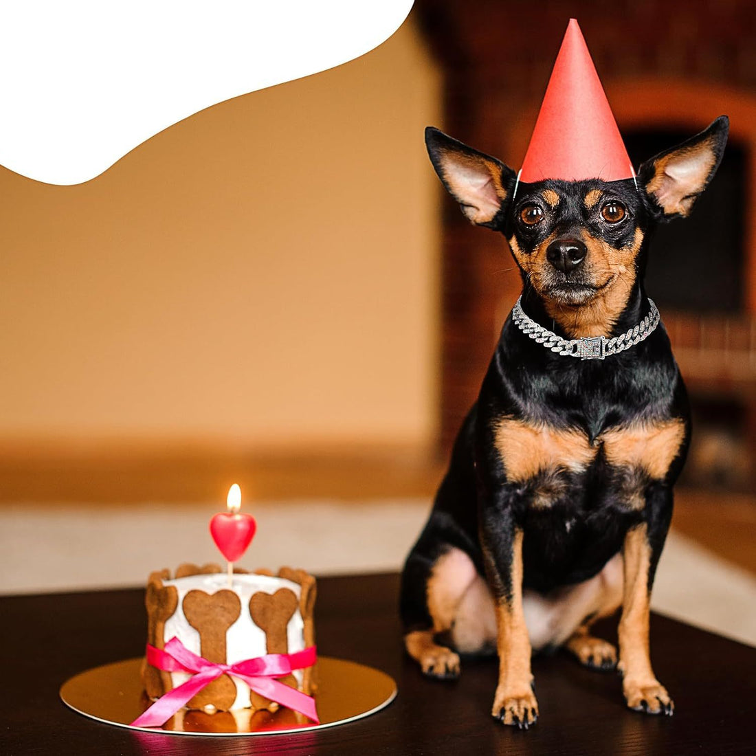 Elegantes Haustier-Halsband mit Kristallen