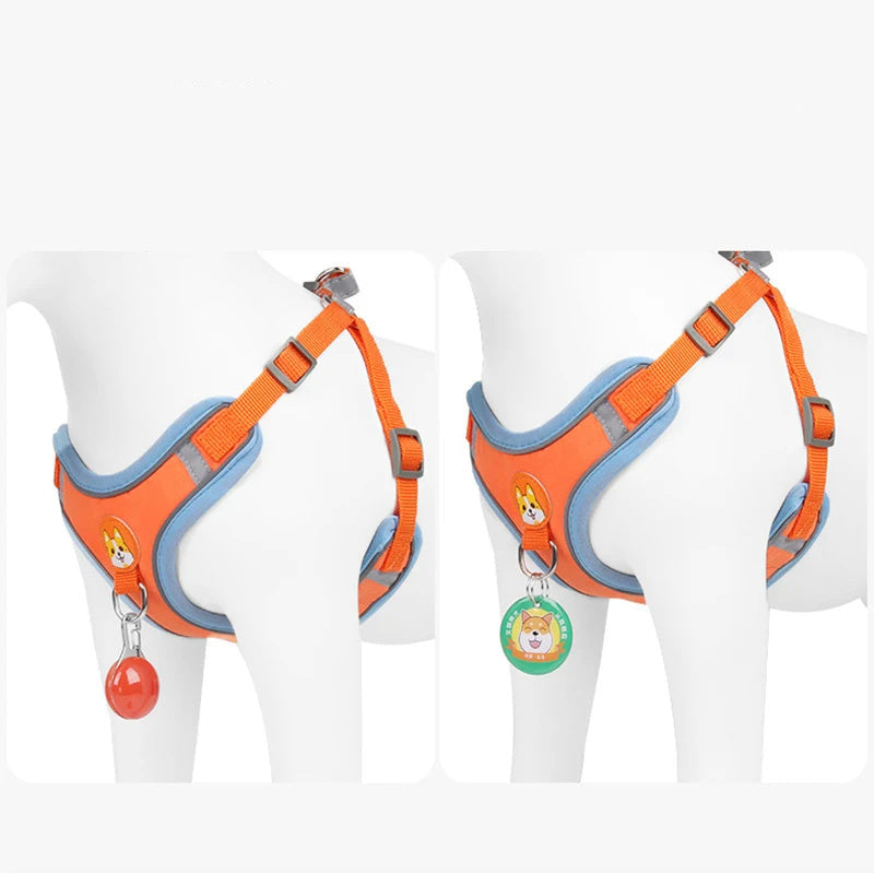 Verstellbares Hundegeschirr & Leinen-Set