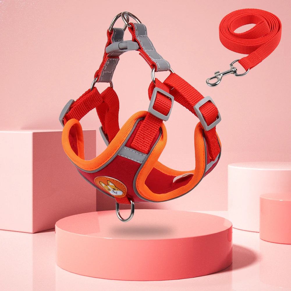 Verstellbares Hundegeschirr & Leinen-Set
