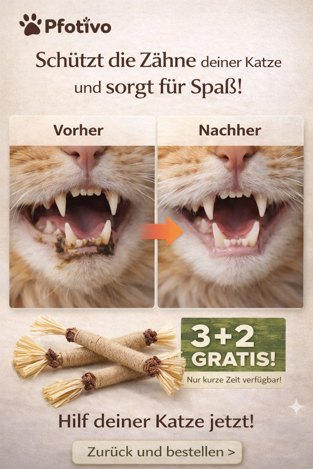 Matatabi Kausticks für Katzen – 100% Natürlich | Zahnpflege & Spielspaß