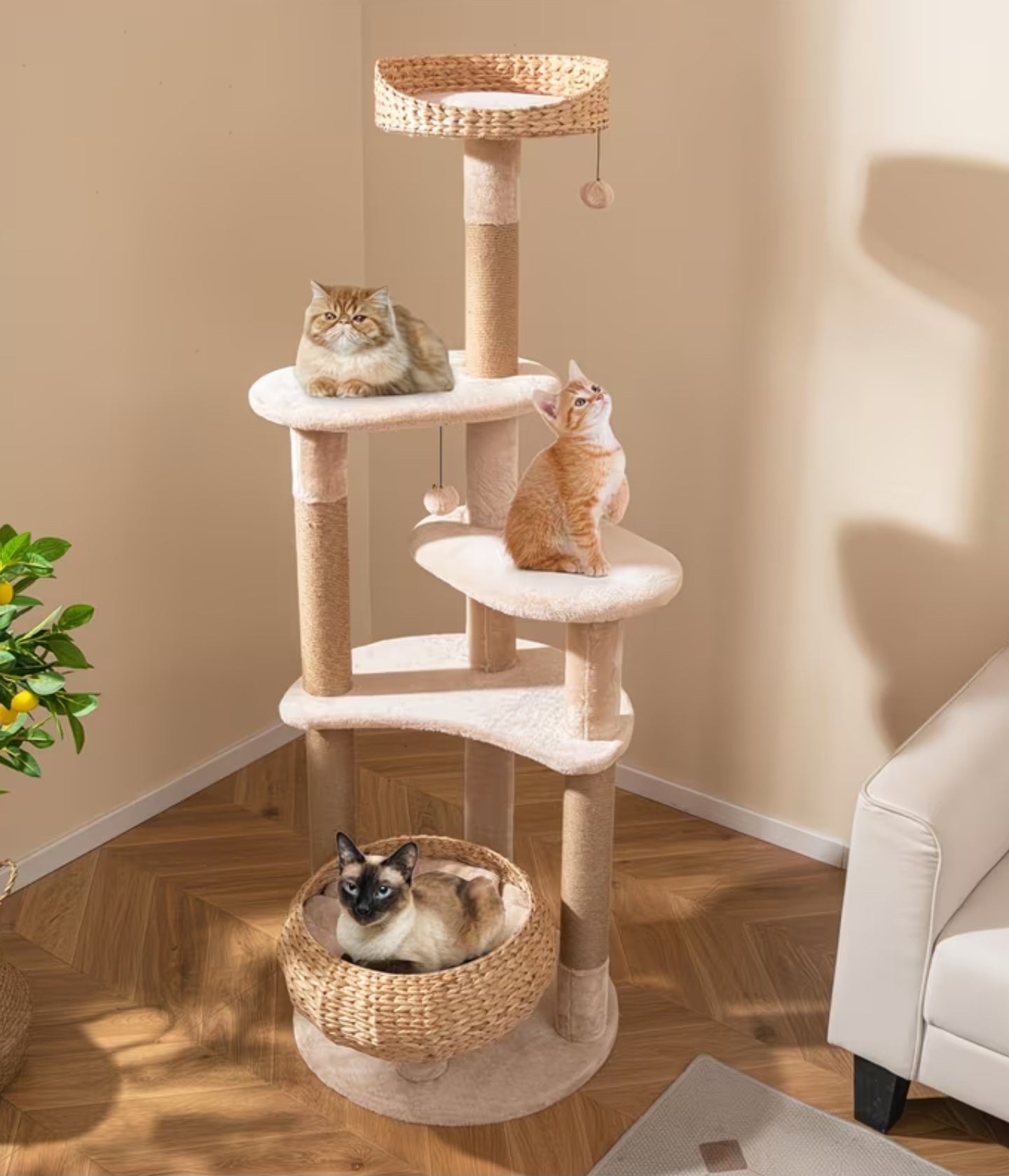 Pfotivo™ CozyClimb Katzenbaum – Kompakter Kratzbaum mit Liegeflächen & Spielbällen