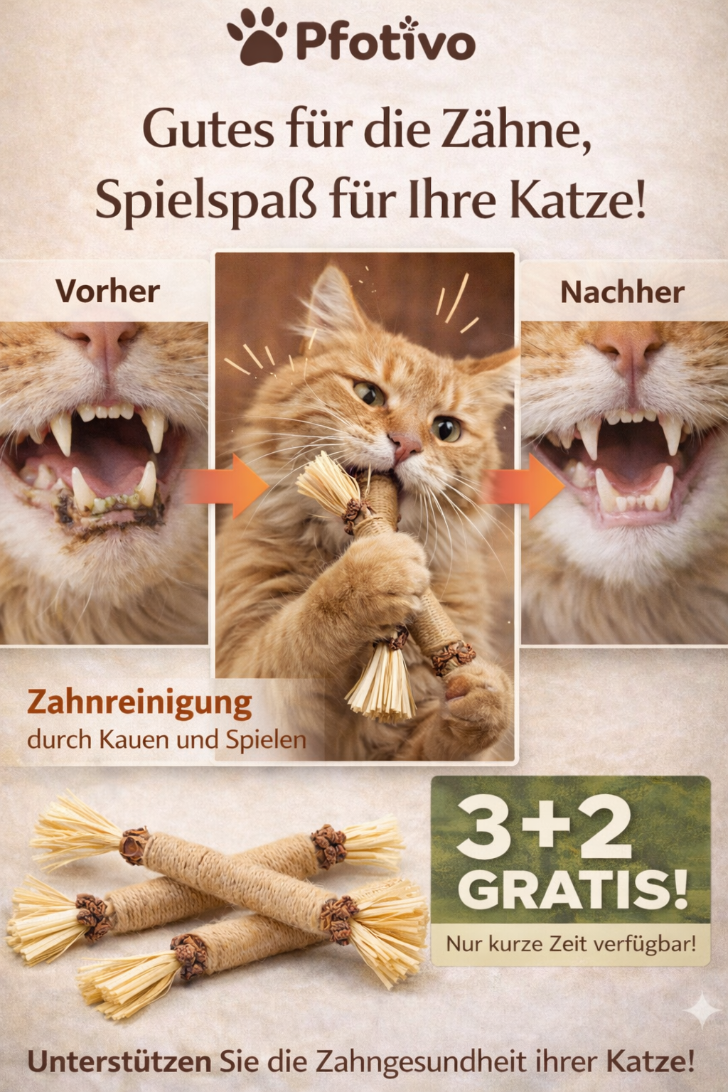Matatabi Kausticks für Katzen – 100% Natürlich | Zahnpflege & Spielspaß