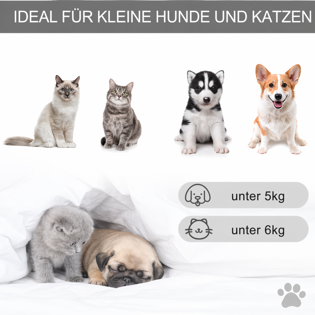 CozyTent Katzenzelt – Kuscheliges Tipi mit Kissen & Holzgestell
